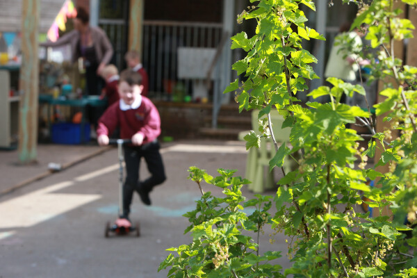 Physical Education Image